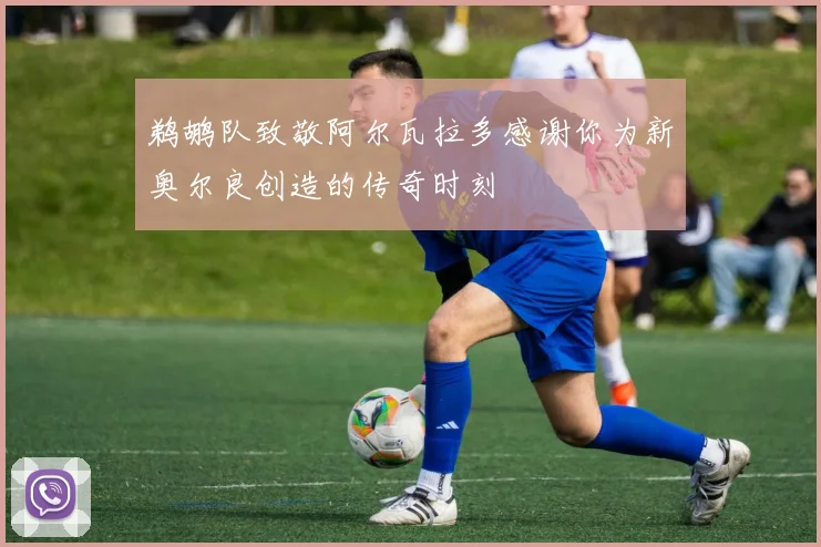 鹈鹕队致敬阿尔瓦拉多感谢你为新奥尔良创造的传奇时刻