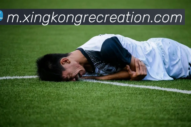 App Interface Preview